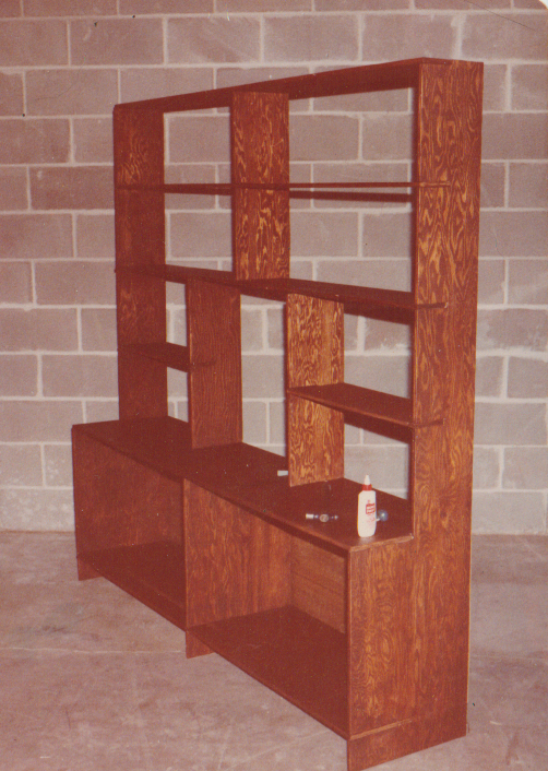bookshelf1